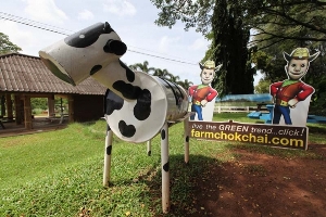 Farm Chokchai