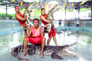 Crocodile Farm Pattaya