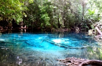 Emerald Pool Krabi