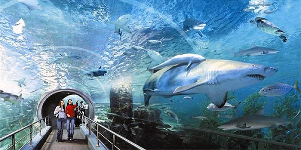 Siam Ocean World