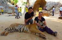 Tiger Temple