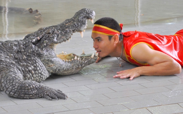 Million Years Stone Park & Pattaya Crocodile Farm, Pattaya