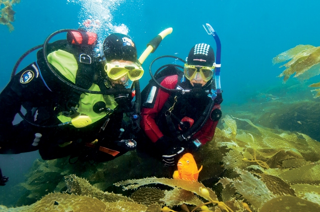 Diving in Pattaya