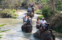 Elephant Village Pattaya