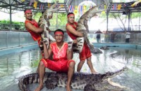 Stone Park & Crocodile Farm