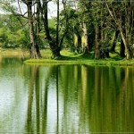 Taiping lake garden 2
