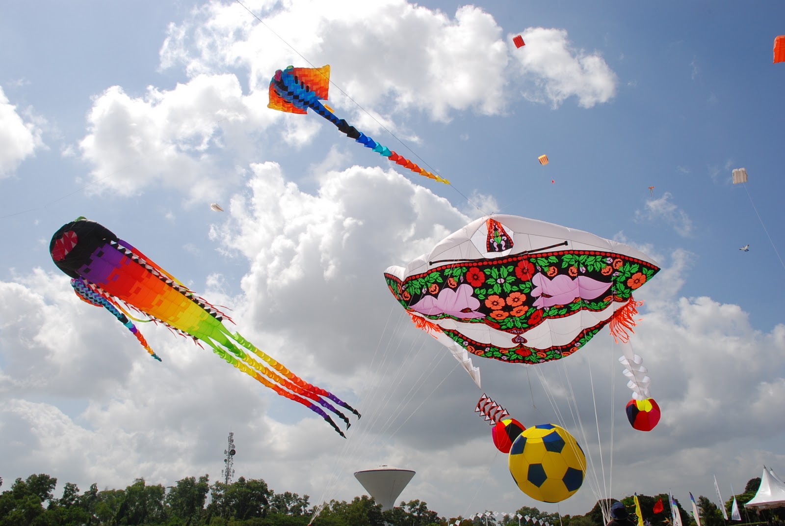 best kite shop near me best kite shop near me