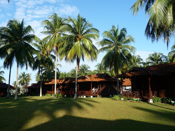 D Coconut Resort Pulau Besar Family Chalet