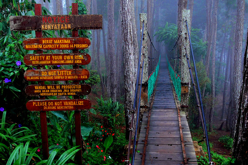 Sabah Tour Canopy Walkway