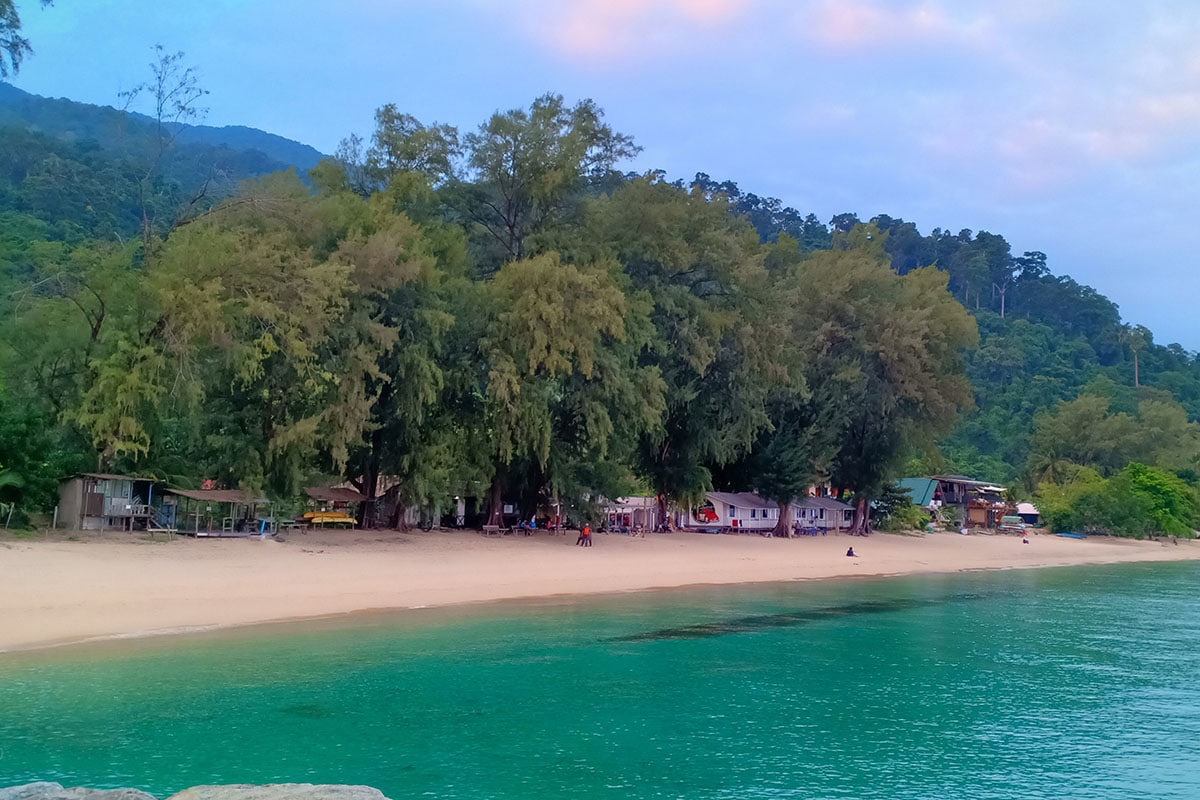 Coral Reef Resort Surrounding 