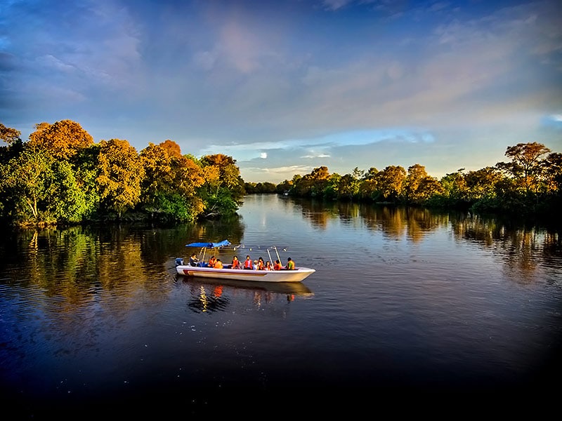 Sabah Tour KLIAS Wetland River Cruise