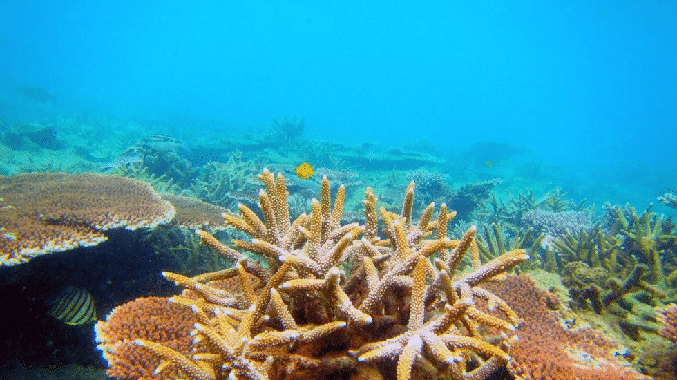 Pulau Kapas