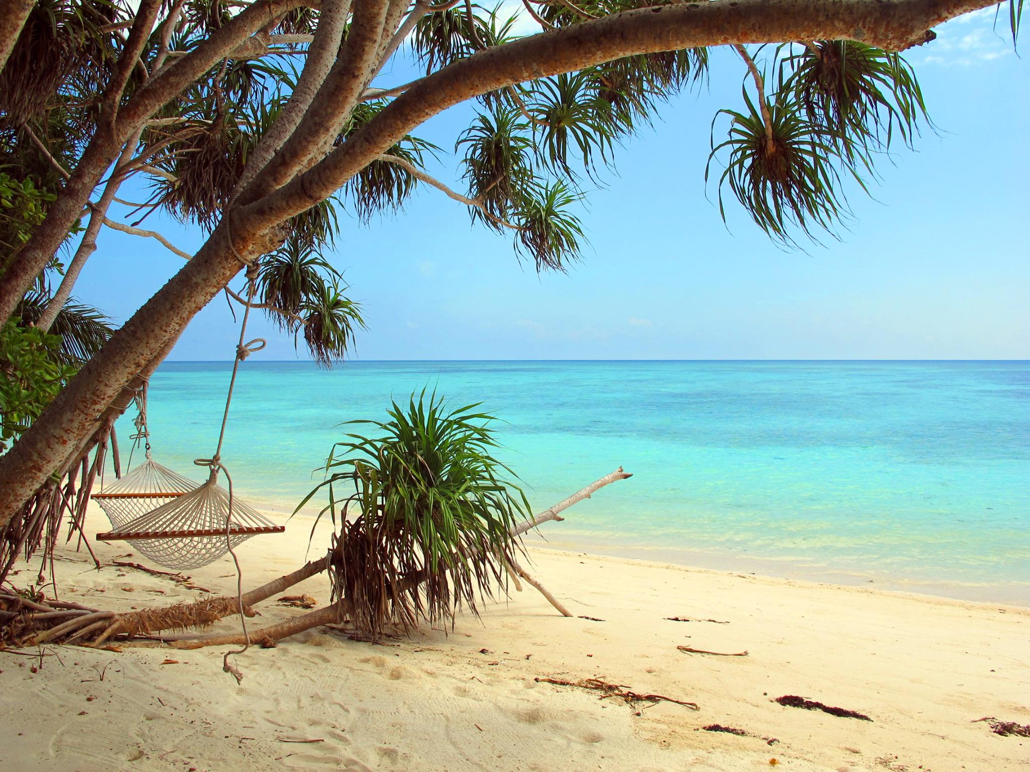 Lankayan Dive Resort Resort Surrounding 