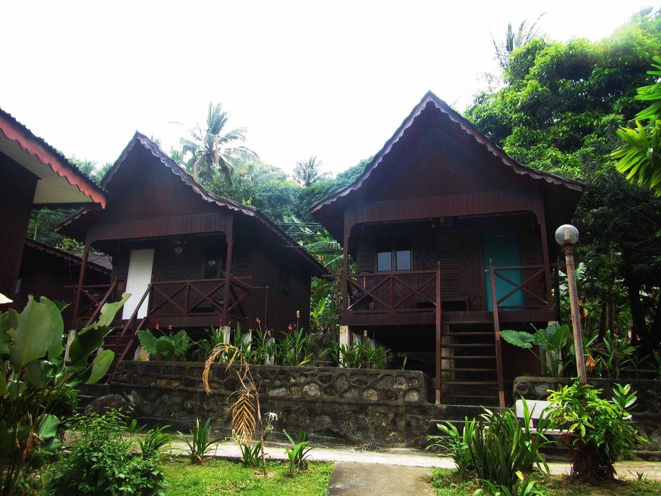 Standard AC Hillside Chalet (Triple Sharing) 