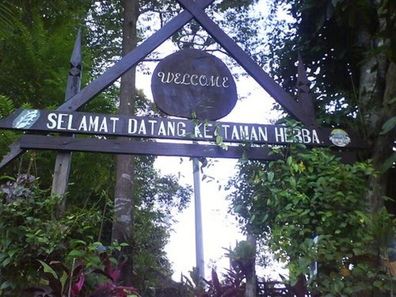 Taman herba