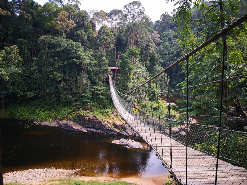 taman negara