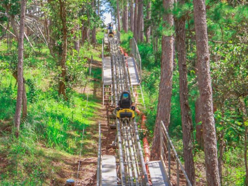 Datanla Waterfall Roller Coaster