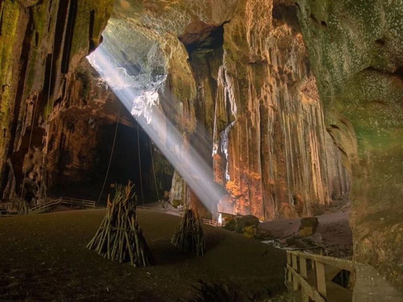 Gomantong Caves