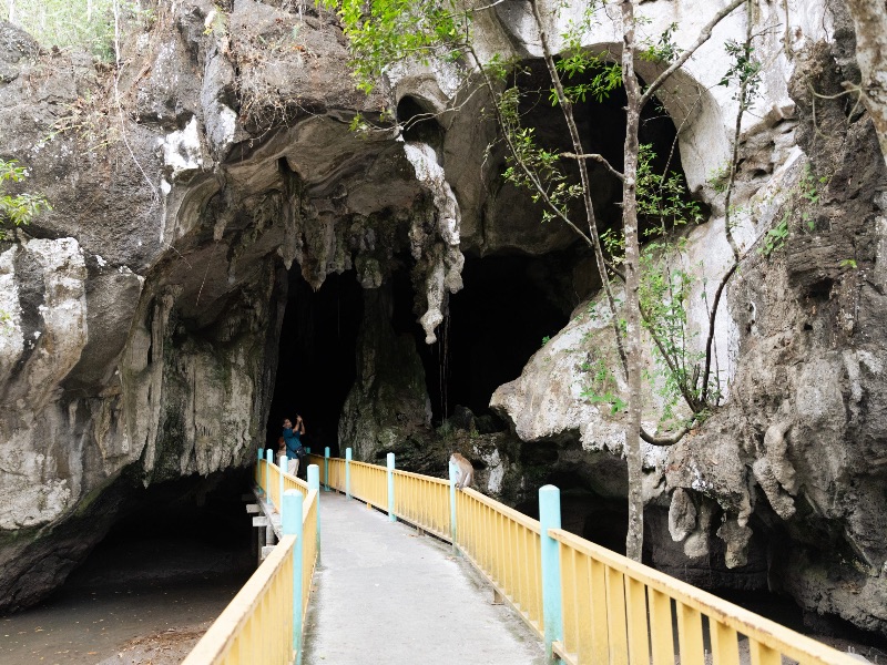 Bat cave