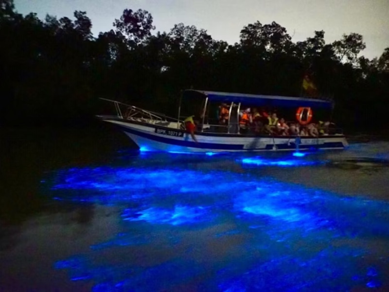 Blue tears night