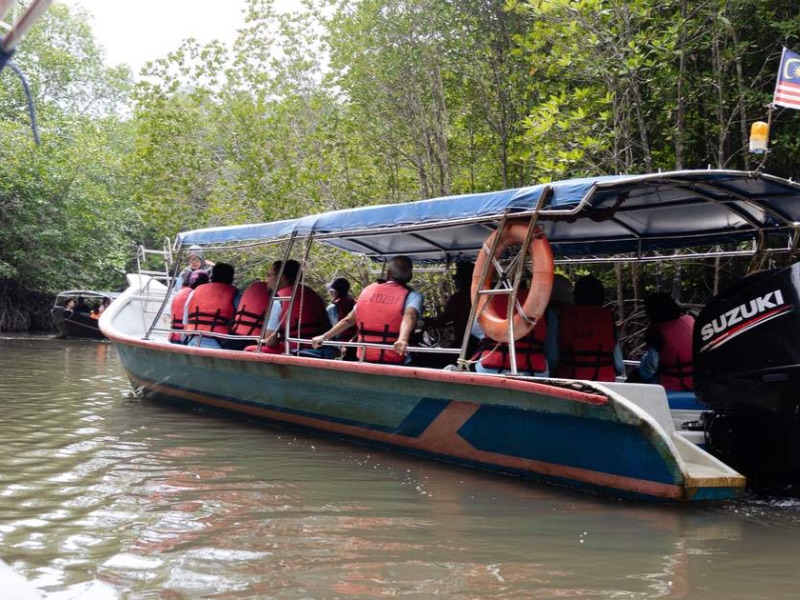 Mangrove Private Boat Tour