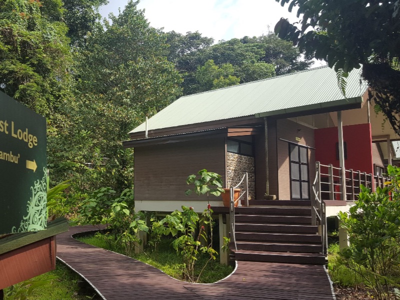 Mulu National Park HQ