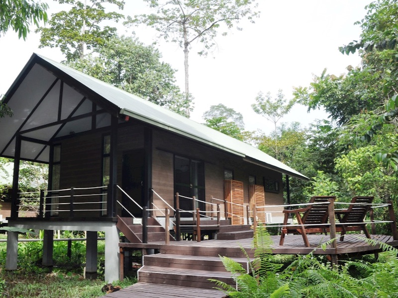 Mulu Park chalets
