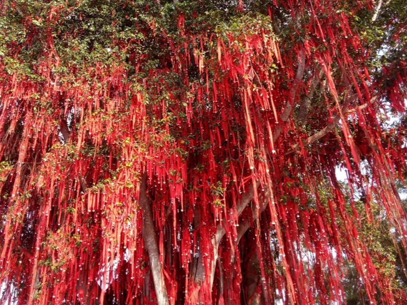 Wishing Tree