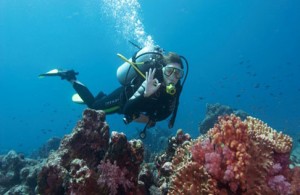 Pulau Payar Marine Park diving