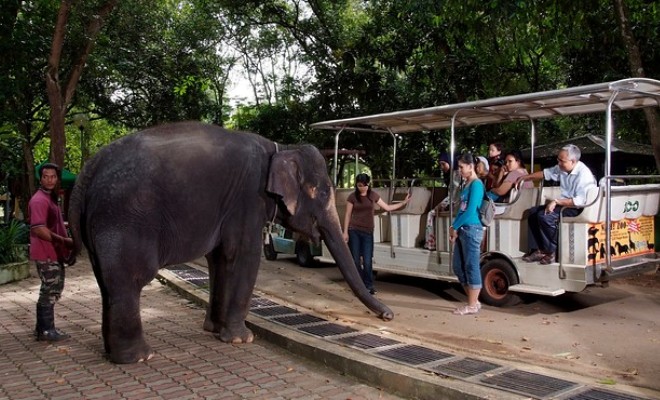The Melaka Zoo HolidayGoGoGo Island Beach Cruise Tour The Melaka Zoo HolidayGoGoGo Island Beach Cruise Tour