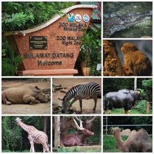 zoo melaka