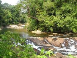 Endau Rompin National Park