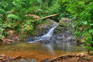 Gunung Arong Recreational Forest