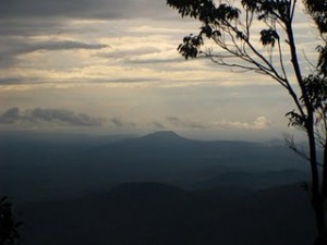 Gunung Belumut Recreational Forest summit view