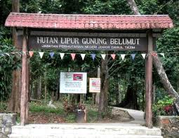 Gunung Belumut Recreational Forest