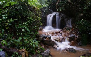 Gunung Lambak Recreational Forest