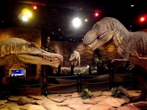 Petrosains dinosaurs display