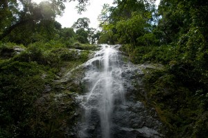 Danum Valley Conservation Area waterfalls