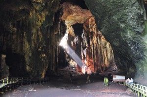 Gomantong Cave