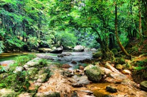 Lentang Forest Recreational Park waterfalls