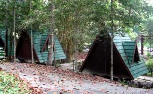 ulu bendul recreational forest camping