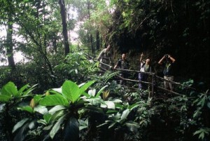 Kinabalu Park adventure tour
