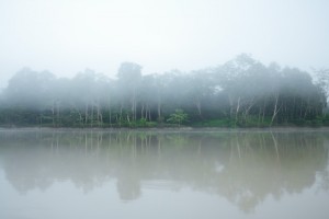 Kinabatangan River