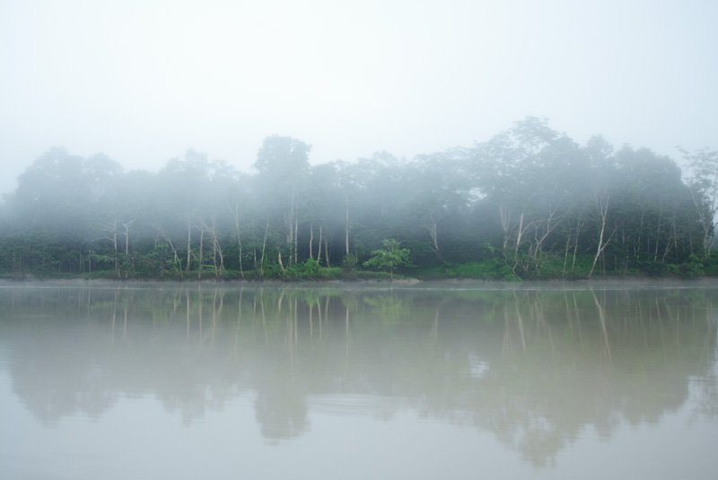 Kinabatangan River