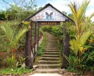 Kipandi Butterfly Park