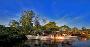 Klias River cruise