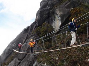 Mountain Torq Via Ferrata bridge