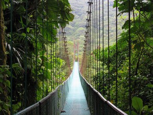 Rainforest Discovery Centre