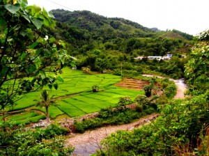 Tambunan District