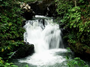 Tawau Hills Park